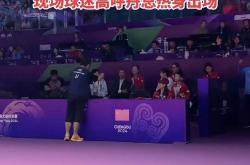 开云下载-关于马来西亚羽毛球队碾压中国羽毛球队，陶菲克惊艳世界的信息