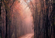 开云体育在线-球队老将复出，经验助球队战胜对手的简单介绍