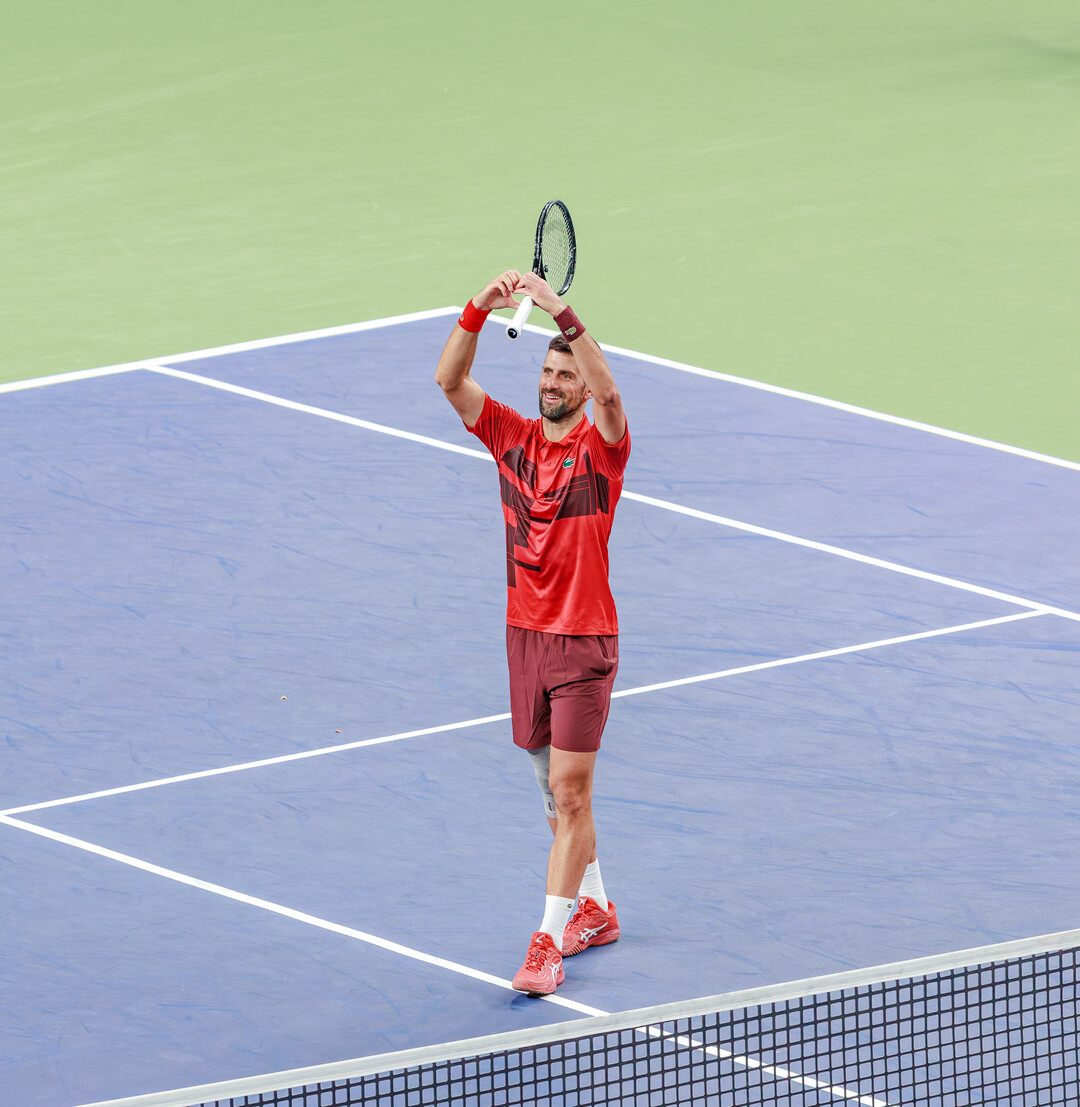 关于世界网球队完胜德国网球队，德约科维奇高光表现的信息