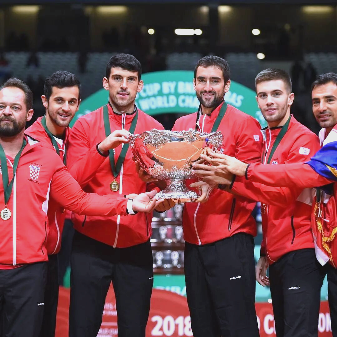 关于戴维斯杯力克法网，鲁德高光表现的信息