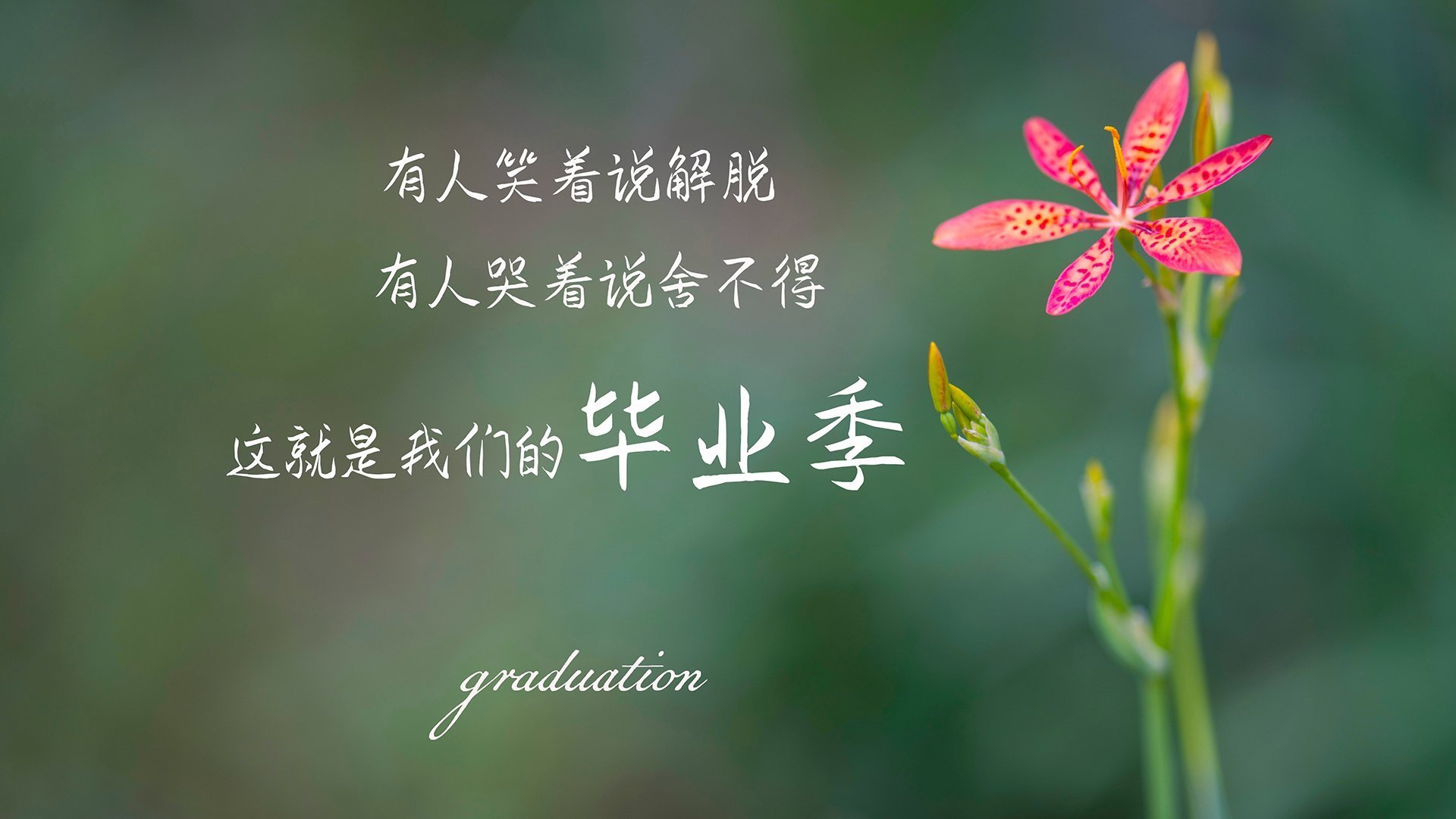 赛道之外的节奏博弈，当F1年度争冠遇上几内亚与马里的地缘韵律