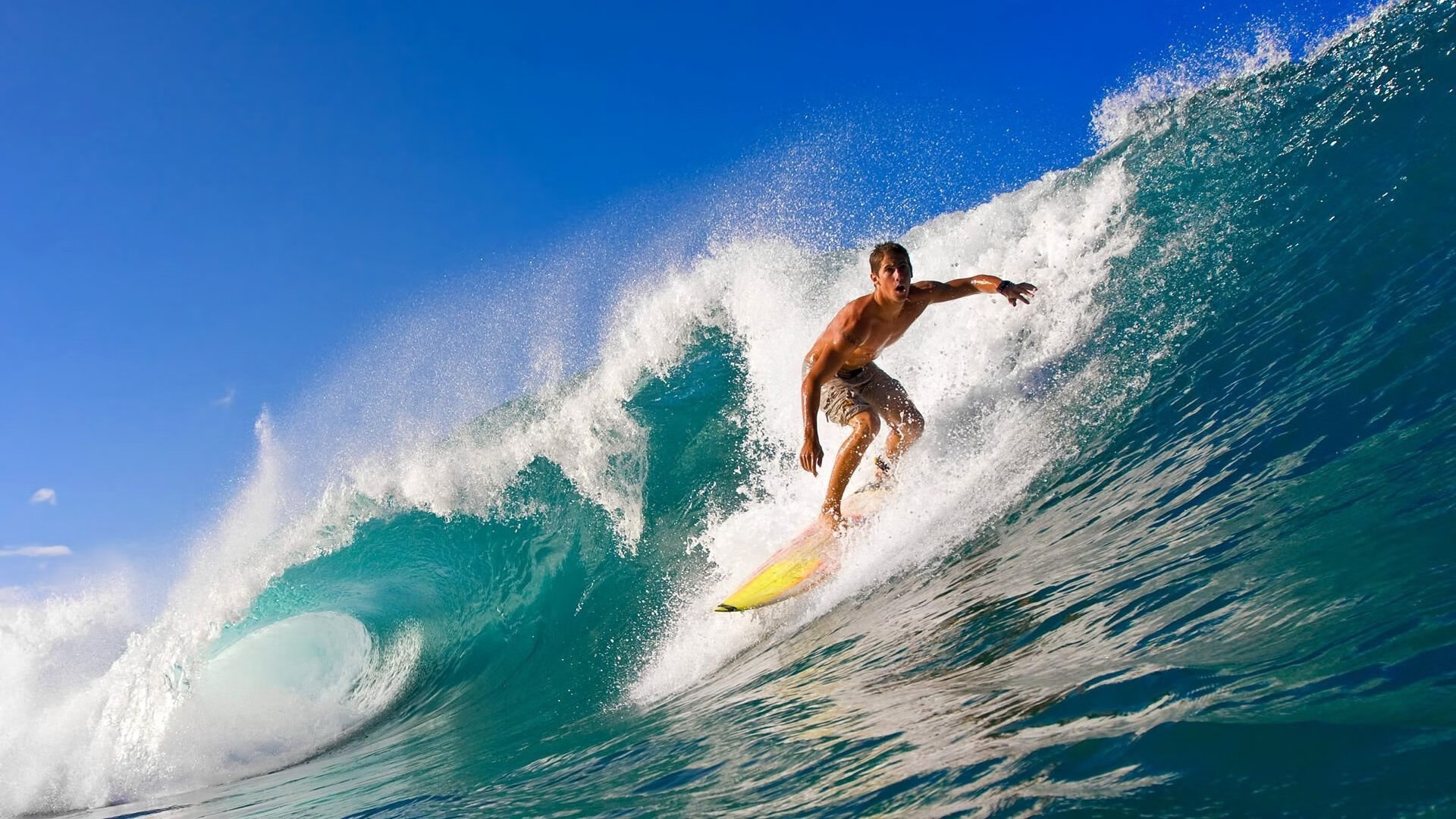 楚阿梅尼爆发改写战局，多特蒙德式碾压令葡萄牙陷落