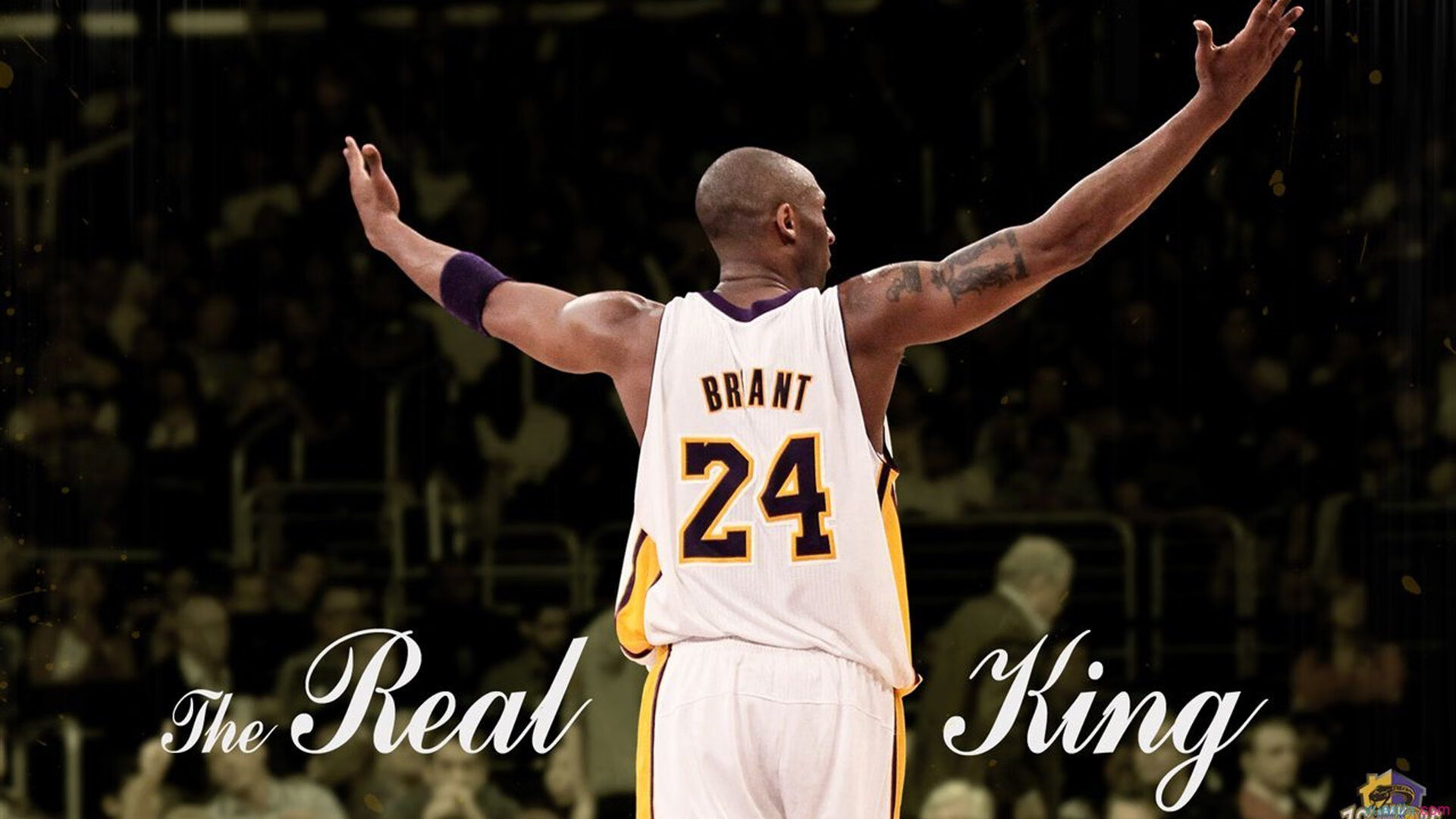 温网逆转美网，德约科维奇扛起全队的传奇时刻